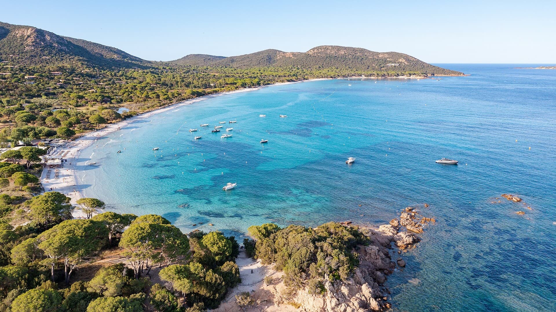 La plage de Palombaggia, régulièrement citée parmi les plus belles de France.
